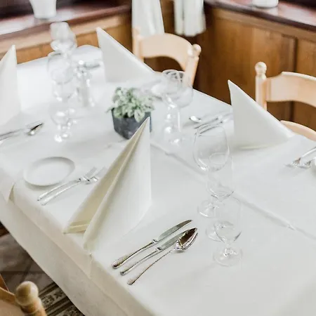 Hotel Zur Alten Muehle 3*