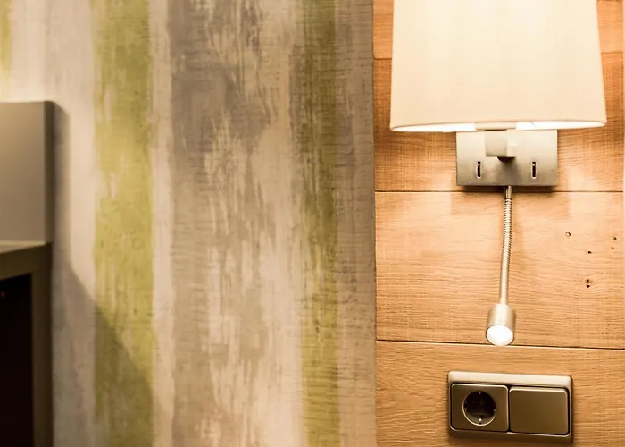 Zur Alten Muehle فندق 3*