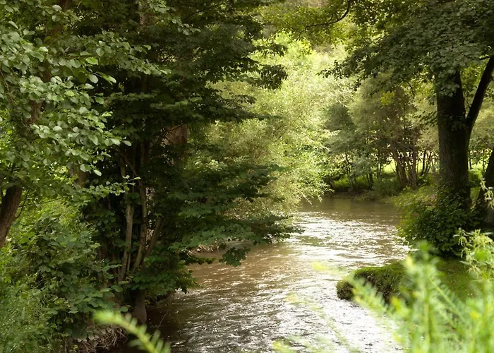 מלון Zur Alten Muehle Lützkampen