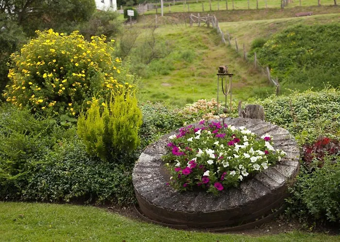 Zur Alten Muehle מלון